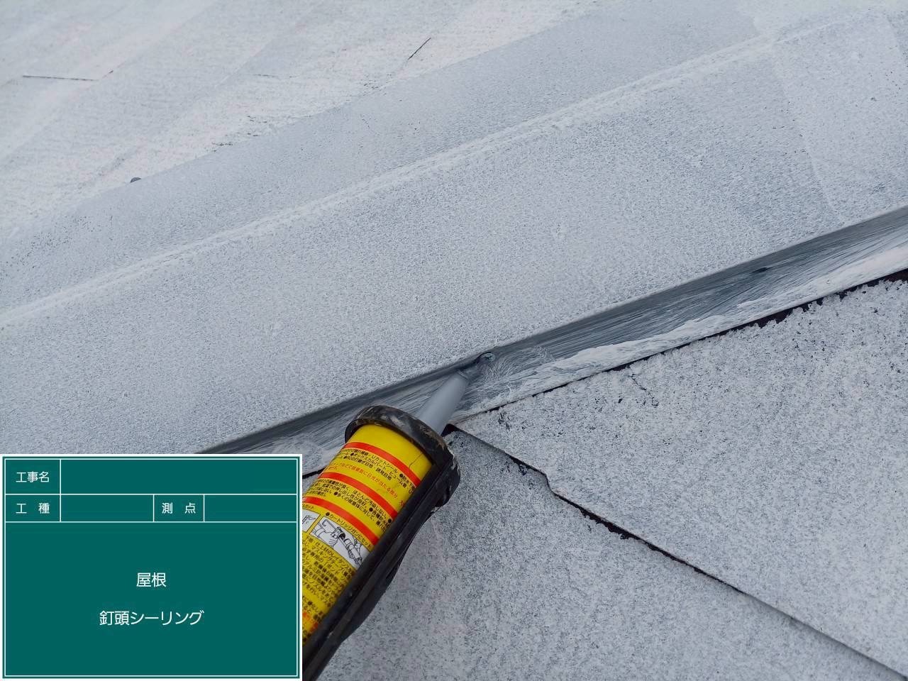 棟板金のビスにシーリング施工中